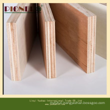 Good Quality Birch Plywood for Furniture with Low Price